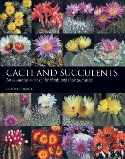 cacti and succulents