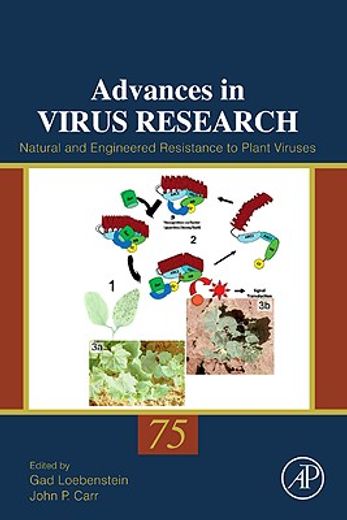 natural and engineered resistance to plant viruses