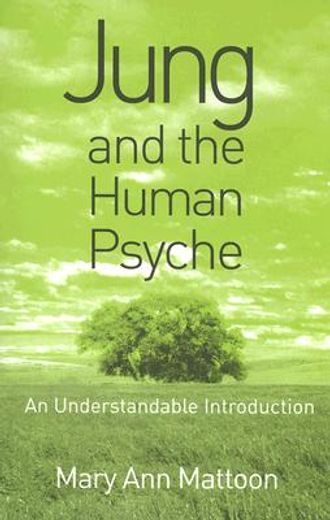 jung and the human psyche,an understandable introduction