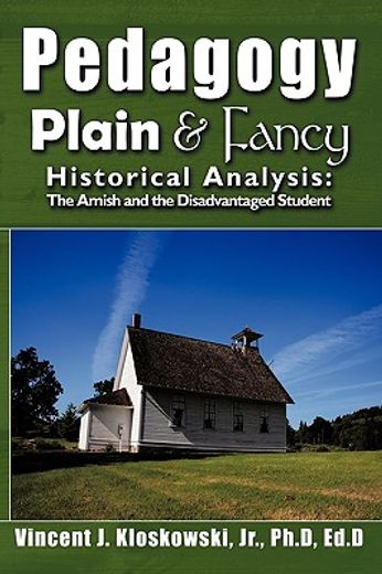 pedagogy plain & fancy,historical analysis: the amish and the disadvantaged student