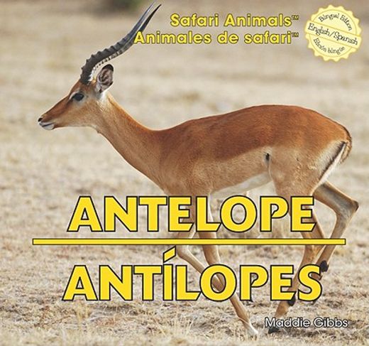 antelope / antilopes