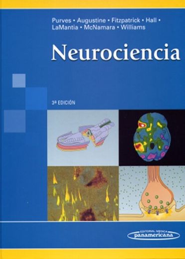 Neurociencia 3ª edición