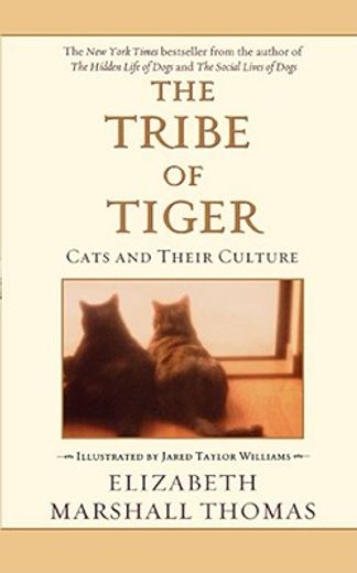 the tribe of tiger,cats and their culture (in English)