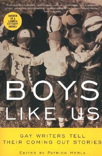 boys like us,gay writers tell their coming out stories