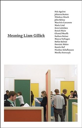 meaning liam gillick