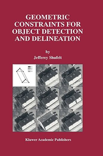 geometric constraints for object detection and delineation (en Inglés)