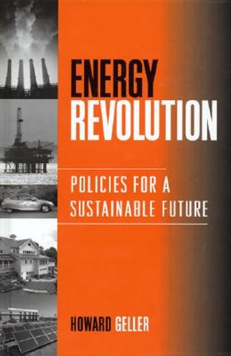 Energy Revolution: Policies for a Sustainable Future (en Inglés)