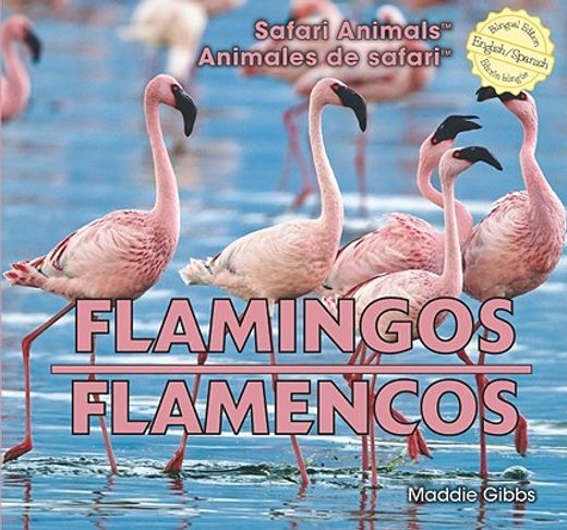 flamingos / flamencos