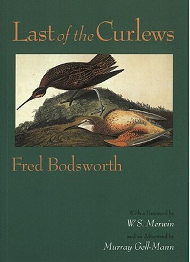 last of the curlews (en Inglés)