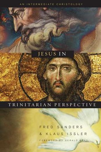 jesus in trinitarian perspective,an introductory christology