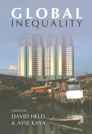 global inequality,patterns and explanations
