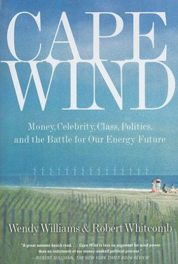 cape wind,money, celebrity, class, politics, and the battle for our energy future