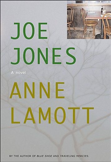 joe jones,a novel (en Inglés)