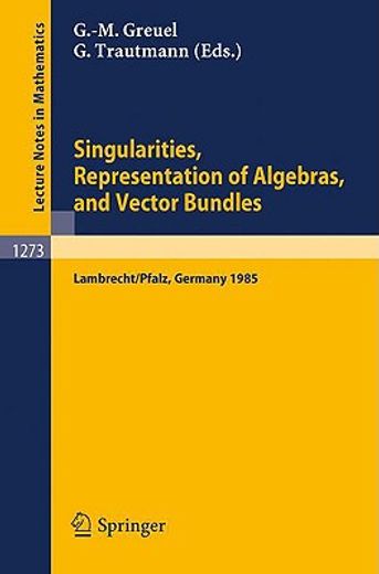 singularities, representation of algebras, and vector bundles (en Inglés)