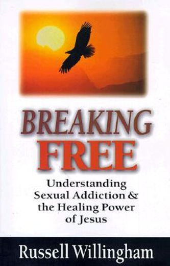 Breaking Free: Understanding Sexual Addiction & the Healing Power of Jesus (in English)