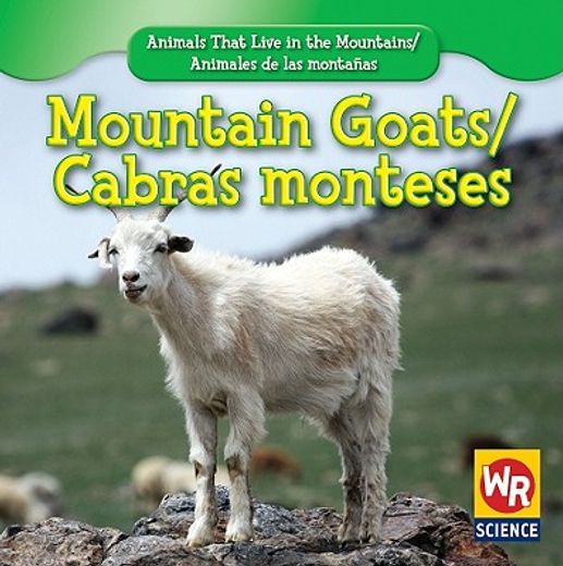 mountain goats/ cabras monteses