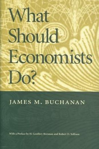 what should economists do? (in English)