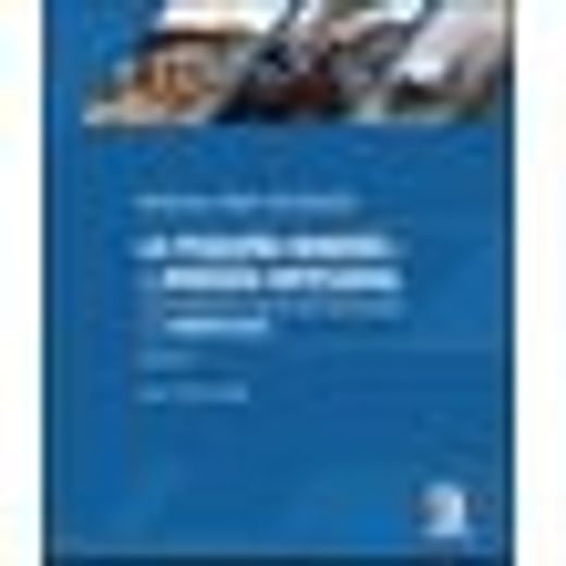 Manual Para Entender La Pequeña Minería Y La Minería Artesanal