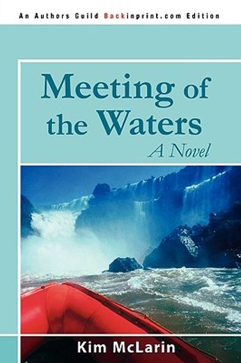 meeting of the waters: a novel (in English)
