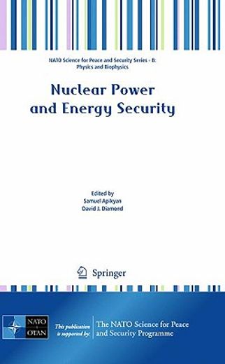 nuclear power and energy security