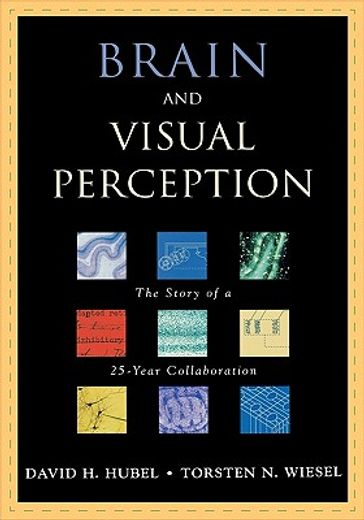 brain and visual perception,the story of a 25-year collaboration