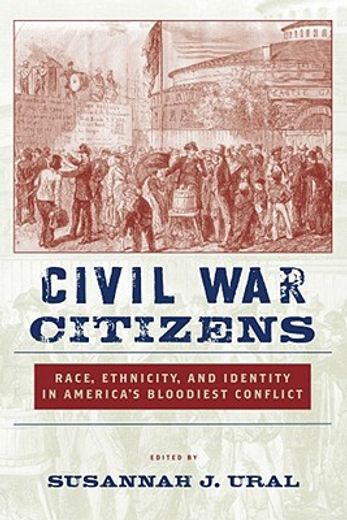 civil war citizens,race, ethnicity, and identity in america´s bloodiest conflict