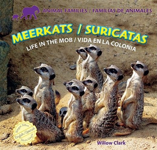 meerkats / suricatas,life in the mob / vida en la colonia