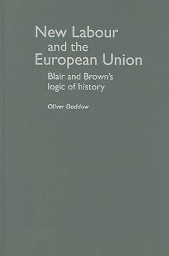 new labour and the european union,blair and brown`s logic of history