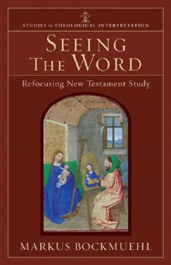 seeing the word,refocusing new testament study (en Inglés)