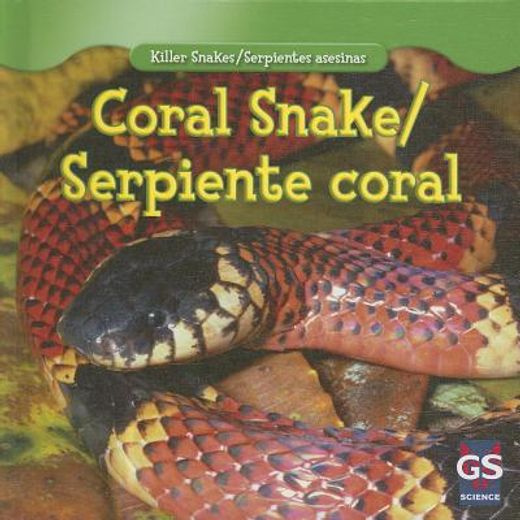 coral snake / serpiente coral