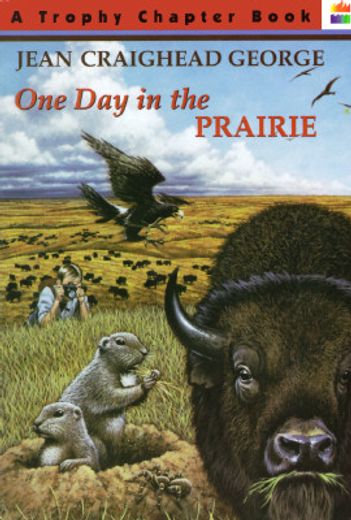 one day in the prairie (en Inglés)
