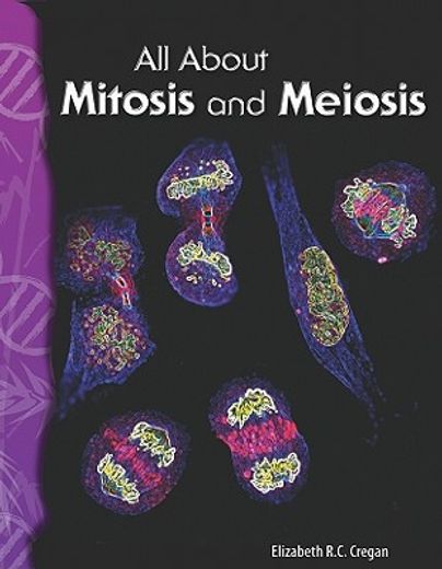 all about mitosis and meiosis