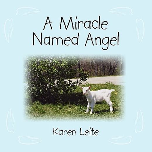 a miracle named angel