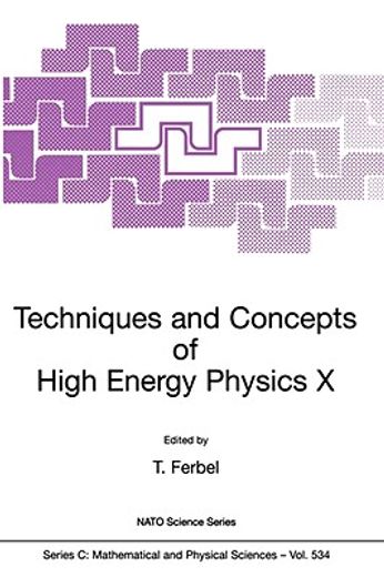 techniques and concepts of high-energy physics x (en Inglés)