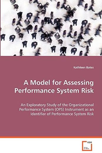 model for assessing performance system risk