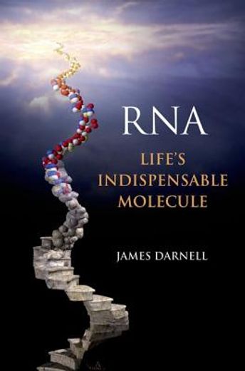 Rna: Life's Indispensable Molecule (en Inglés)