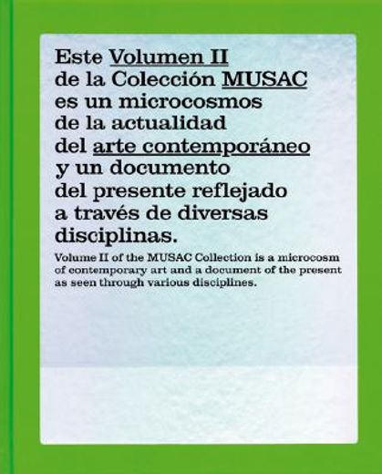 the musac collection,museo de arte contemporaneo de castilla y leon coleccion