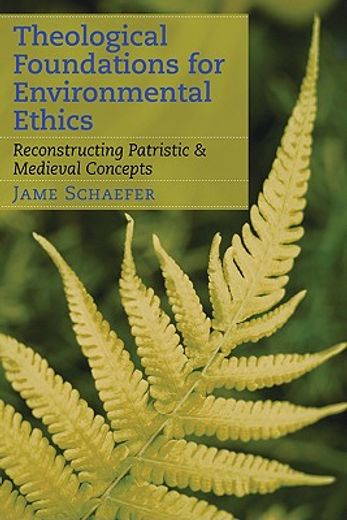 theological foundations for environmental ethics,reconstructing patristic and medieval concepts