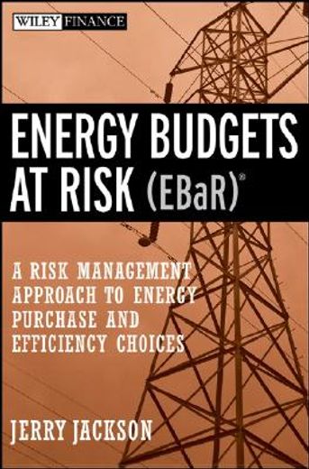 energy budgets at risk (ebar),a risk management approach to energy purchase and efficiency choices