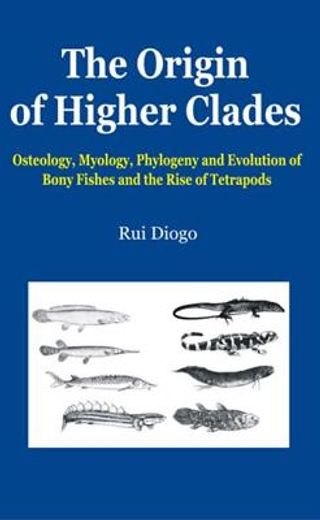 The Origin of Higher Clades: Osteology, Myology, Phylogeny and Evolution of Bony Fishes and the Rise of Tetrapods (en Inglés)