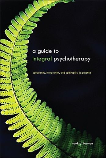 a guide to integral psychotherapy,complexity, integration, and spirituality in practice (en Inglés)