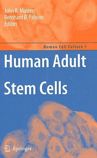 human adult stem cells