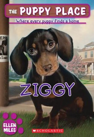 ziggy (en Inglés)