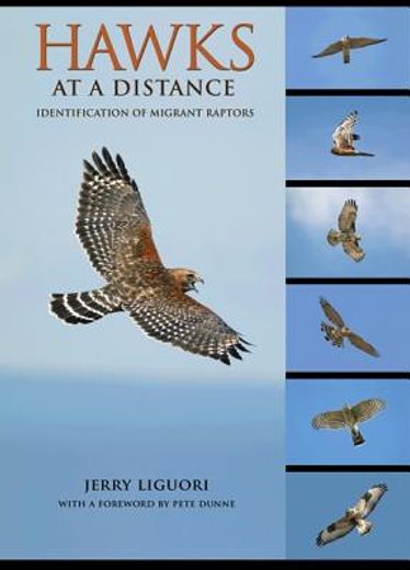 hawks at a distance,identification of migrant raptors (en Inglés)