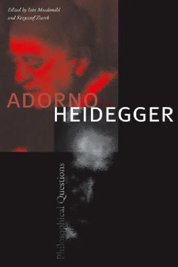 adorno and heidegger,philosophical questions (in English)