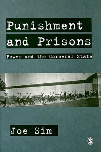 the carceral state,power and punishment in a hard land