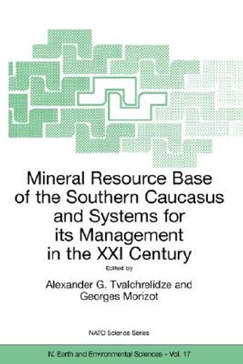 mineral resource base of the southern caucasus and systems for its management in the xxist century