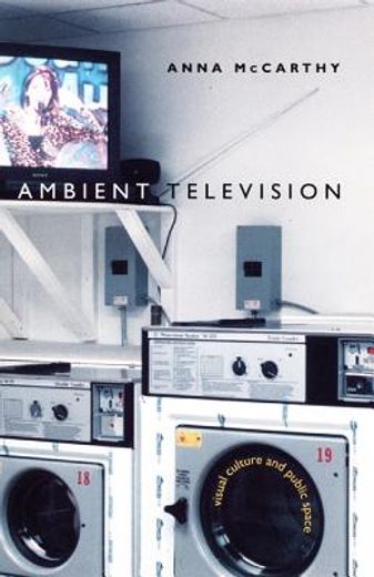ambient television,visual culture and public space