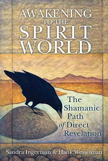awakening to the spirit world,the shamanic path of direct revelation (in English)