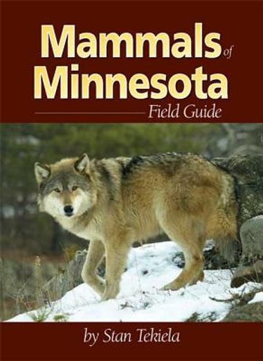 mammals of minnesota field guide (en Inglés)